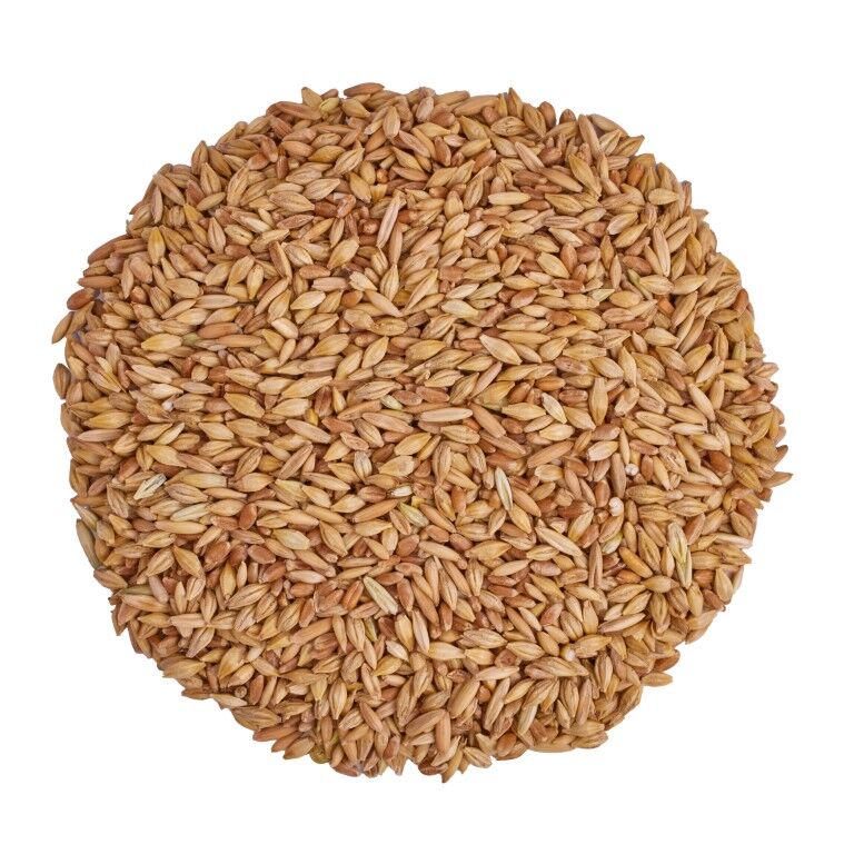 Scratch & Peck Feeds Organic 3-Grain Scratch, 10-Lb