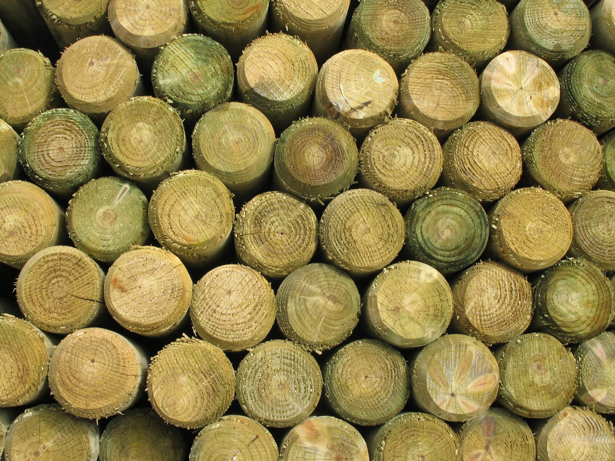 5-In x 10-Ft Douglas Fir Pressure Treated Round Wood Fence Post