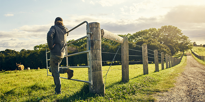 Farm & Fence Category Image